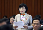 “Quốc hội đang được đưa món gì ăn món ấy” 