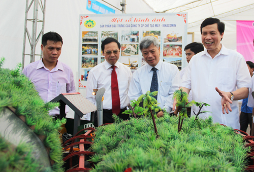 Các đại biểu tham quan một số mô hình tiêu biểu được trưng bày tại Festival