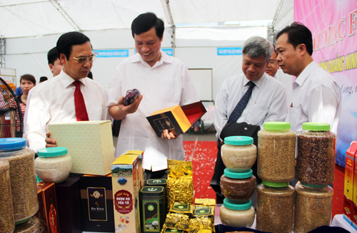 Các đại biểu tham quan một số mô hình tiêu biểu được trưng bày tại Festival
