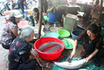 Thị trường thực phẩm “sốt” theo giá vàng, USD 